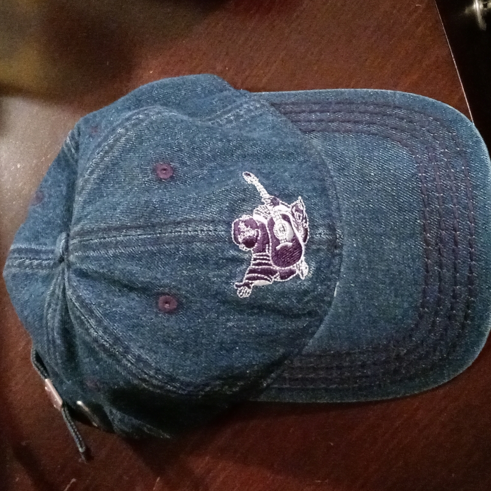 True Religon Buddah Denim Strapback Hat